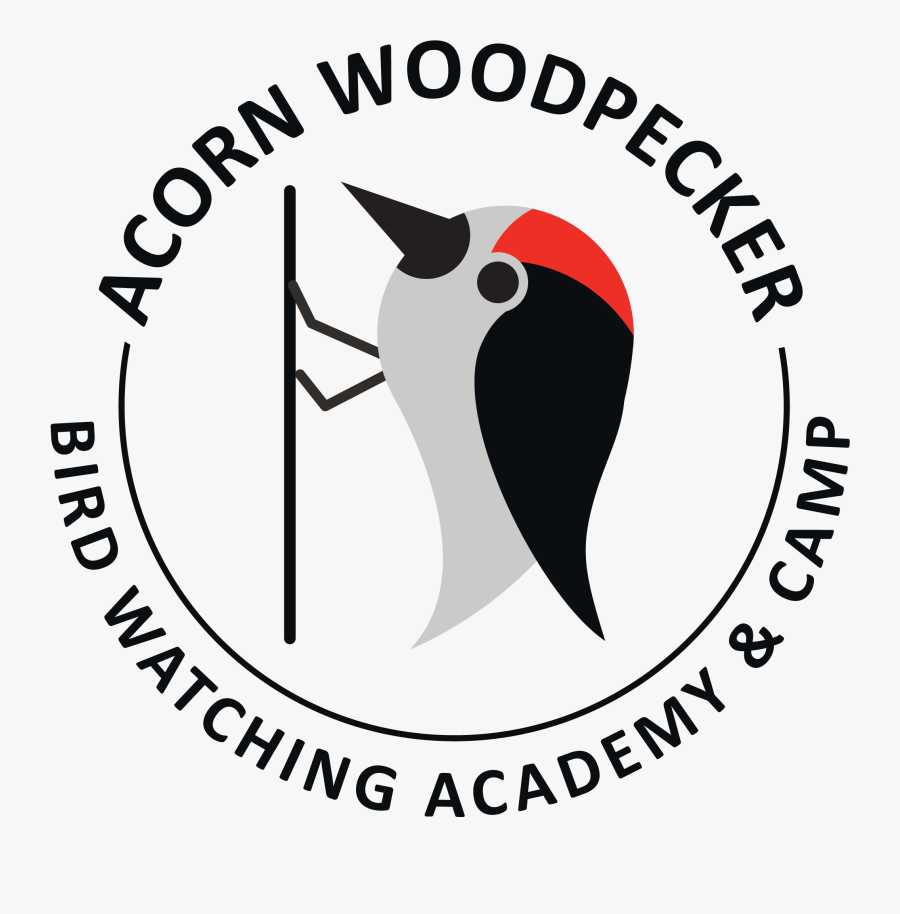 Feif, Transparent Clipart