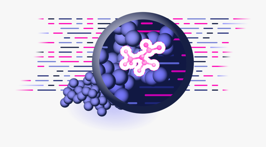 Seedless Fruit, Transparent Clipart