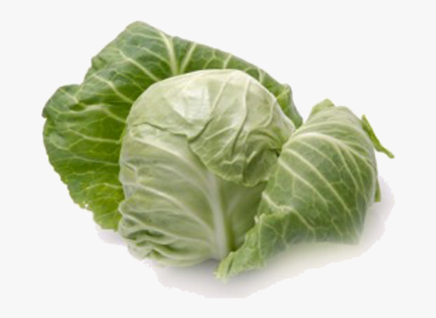 Cabbage Definition, Transparent Clipart