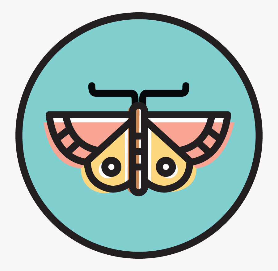 Circle, Transparent Clipart