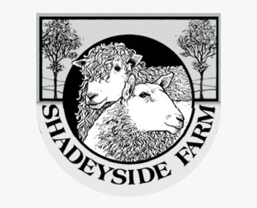 Circle, Transparent Clipart