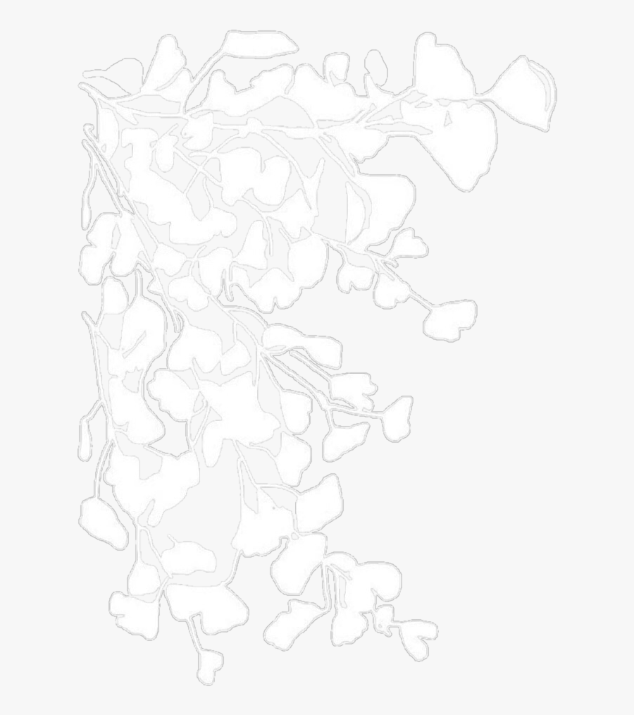 Don T Touct My Phone Jinyoung, Transparent Clipart