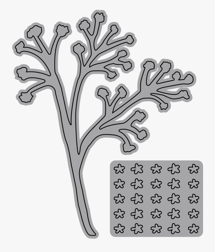 Garden Notes - Baby"s Breath - Floral Design, Transparent Clipart