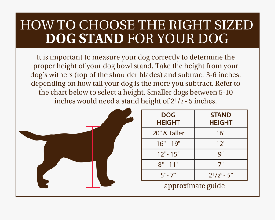 Madrock Design Size Guide - Funny, Transparent Clipart