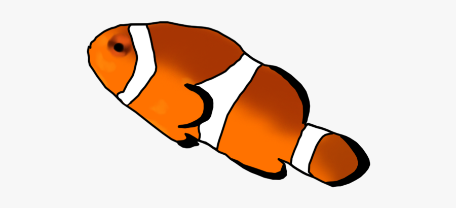 Clownfish Clip Art - Pez Payaso Png Vector, Transparent Clipart