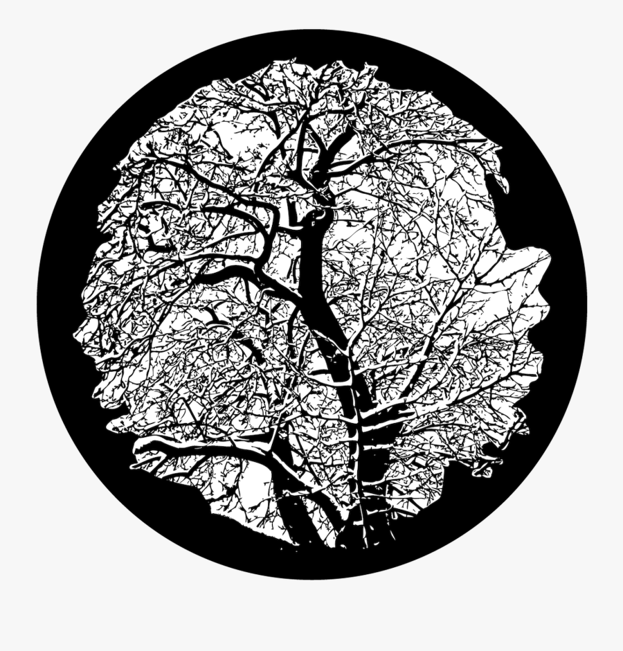Winter Tree - Glass Gobo Tree, Transparent Clipart