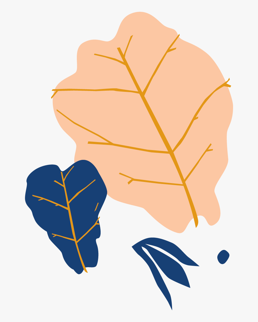 Botanical Name - Illustration - Illustration, Transparent Clipart