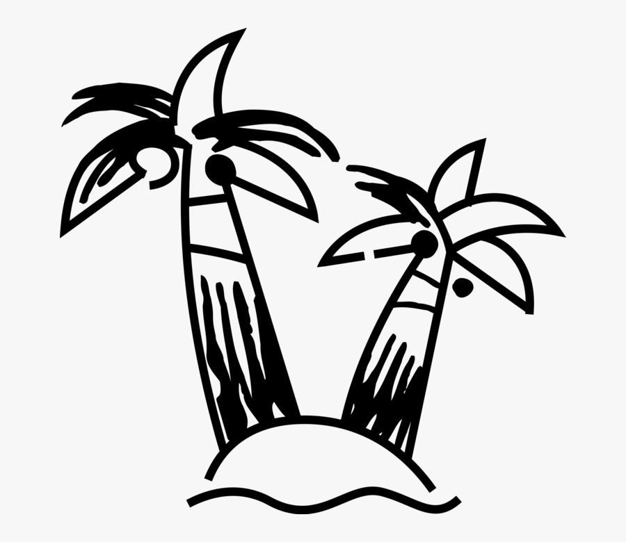 Vector Illustration Of Arecaceae Palm Tree Botanical, Transparent Clipart