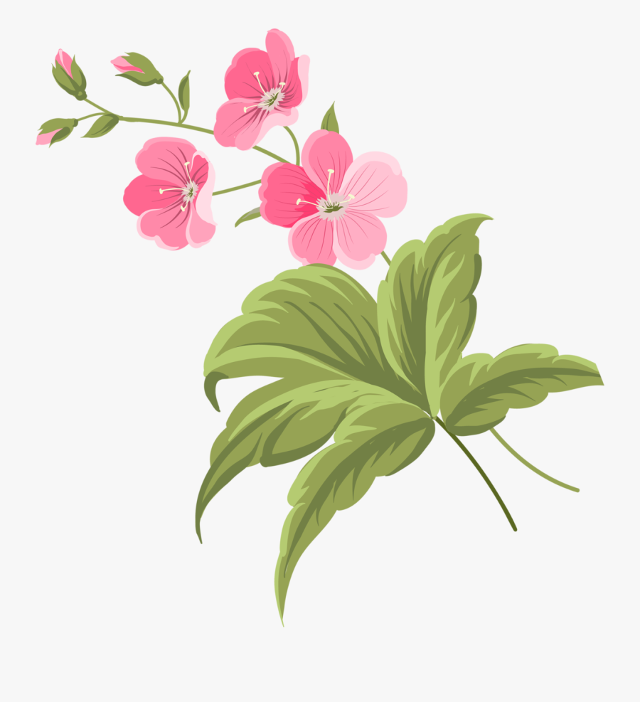 Transparent Beautiful Flowers Png - Botanical Flowers Png, Transparent Clipart