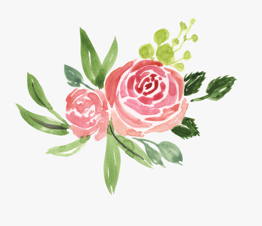 Botanical Flower Bunch - Garden Roses, Transparent Clipart