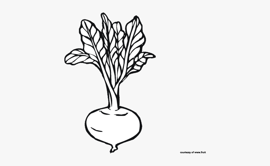 Beetroot Clipart Black And White, Transparent Clipart