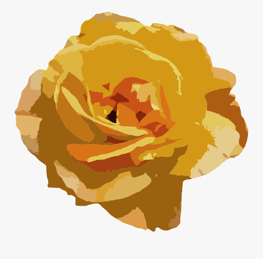 Garden Roses, Transparent Clipart