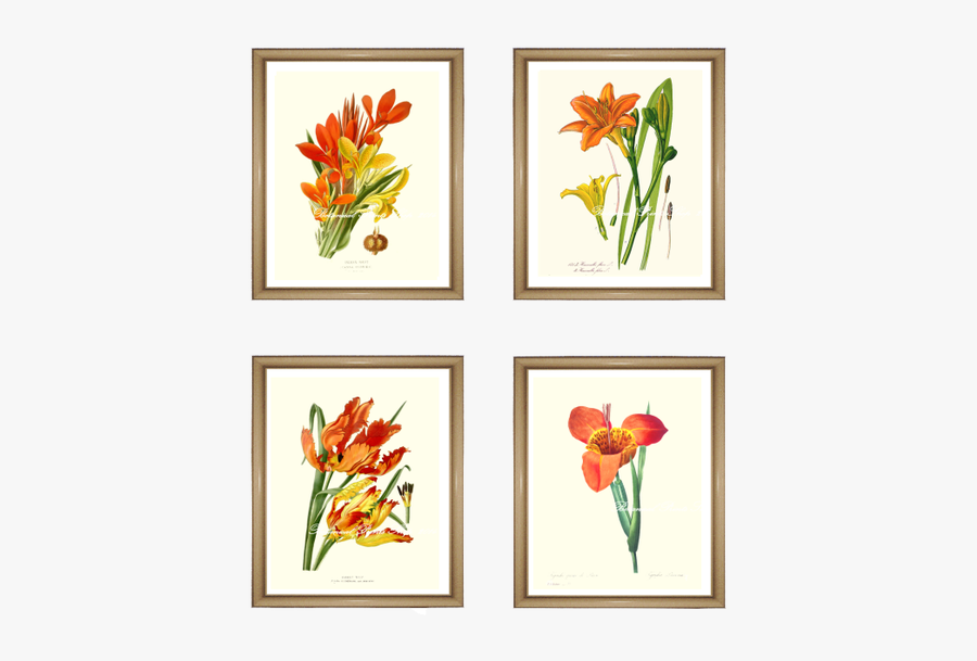 Flowers Print, Transparent Clipart