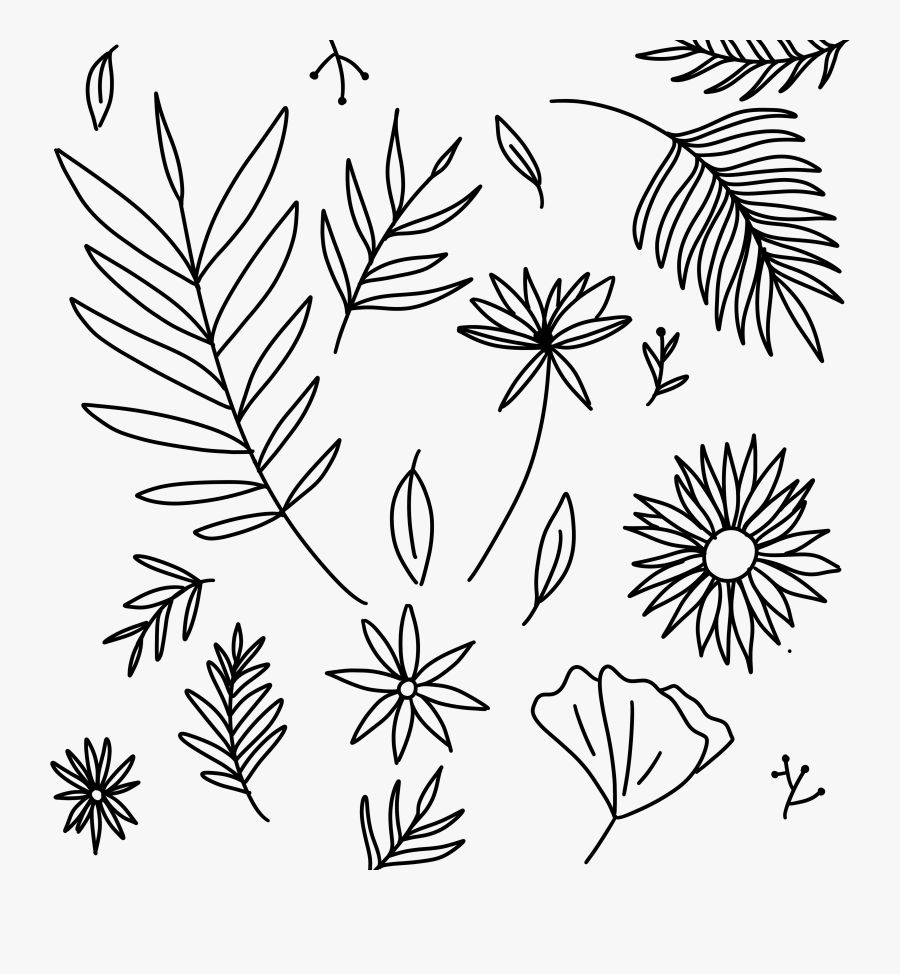 Botanical Png, Transparent Clipart