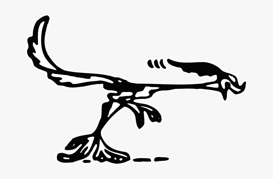 Road Runner, Transparent Clipart
