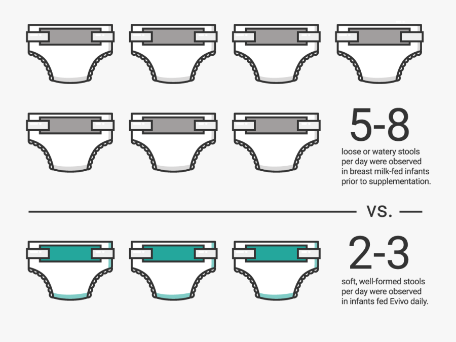 Evivo And Dr - Poops Per Day Baby, Transparent Clipart