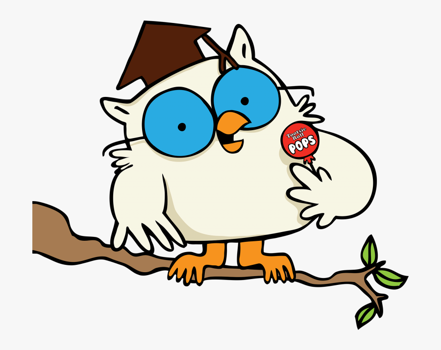 Mr Owl On Branch - Tootsie Pops Owl, Transparent Clipart