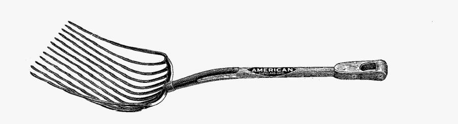 Line Art, Transparent Clipart