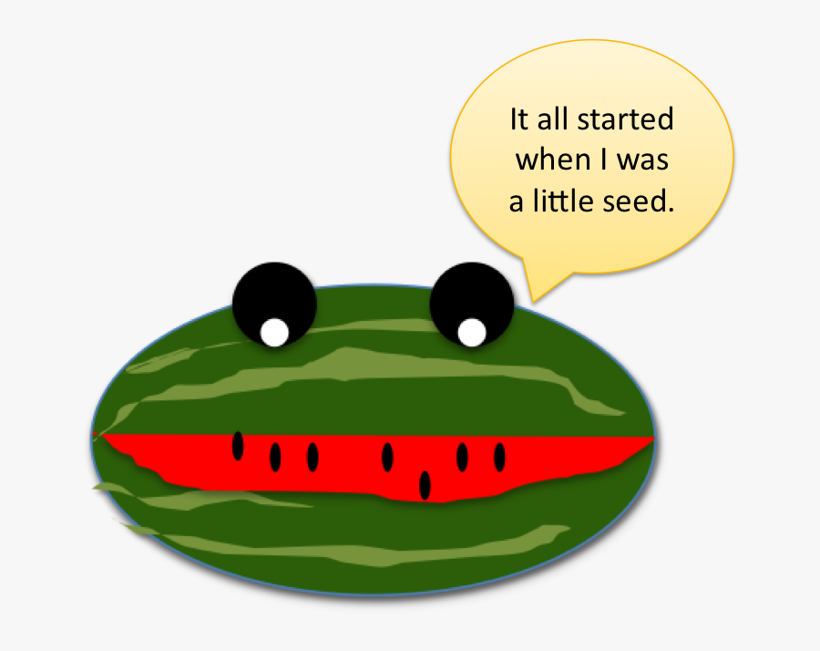 Paper Watermelon Head Example - Cartoon, Transparent Clipart