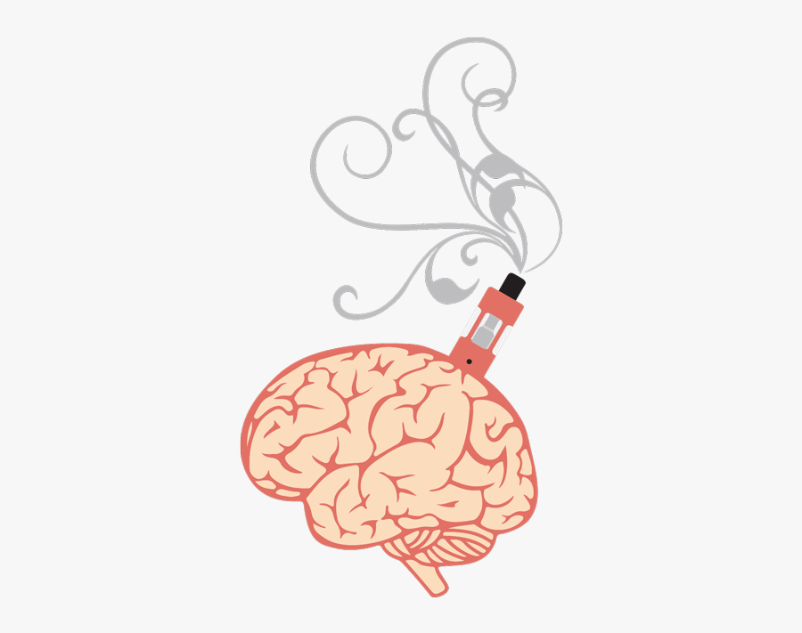 Human Head With Brain, Transparent Clipart