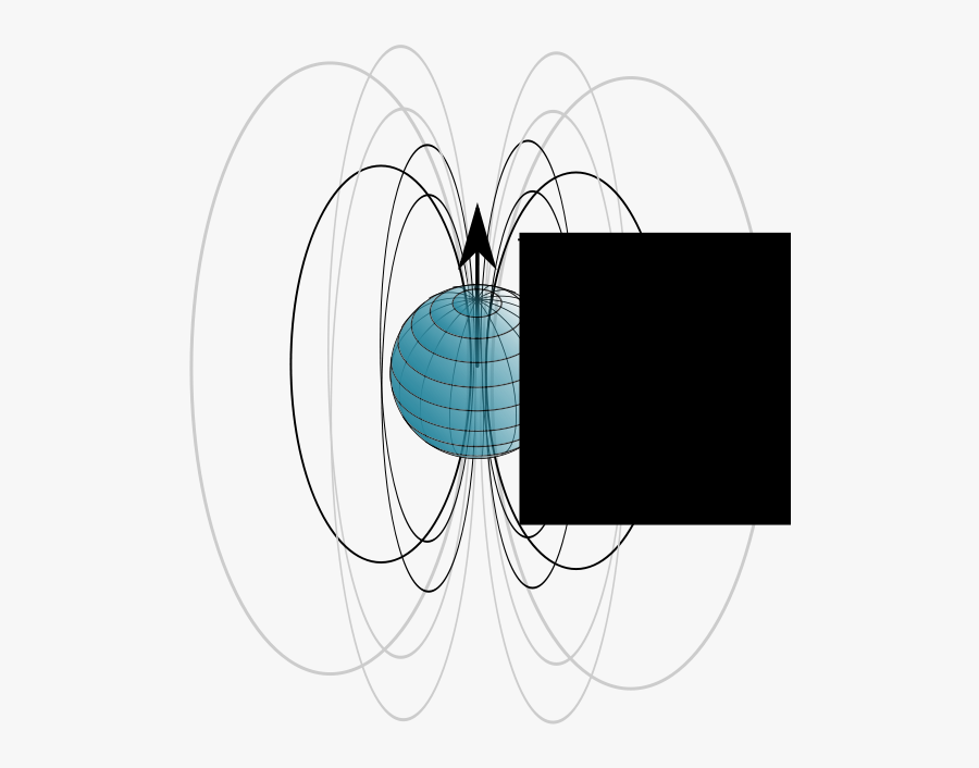 Nmr Spin Field Lines - Circle, Transparent Clipart