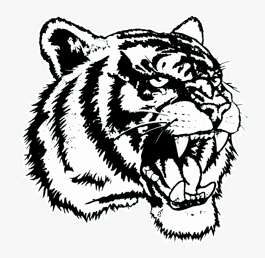 Bengal-tiger - Dre The Detox Chroniclez Vol, Transparent Clipart
