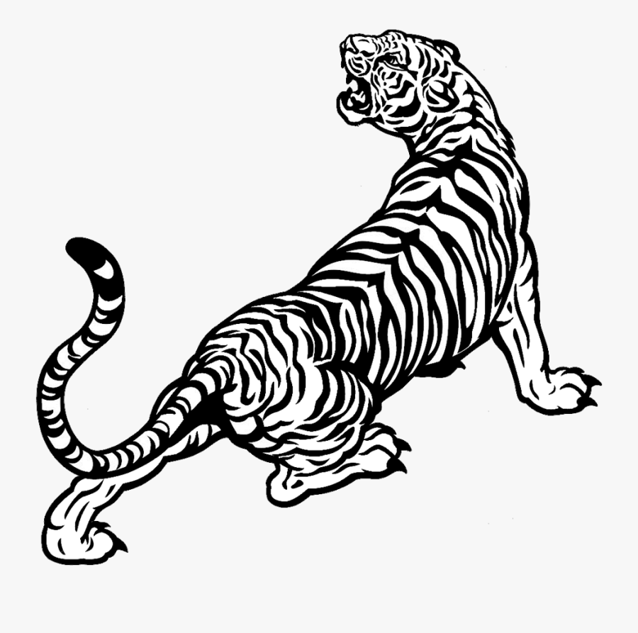 Tigers Drawing Old - White Tiger Angry Vector, Transparent Clipart