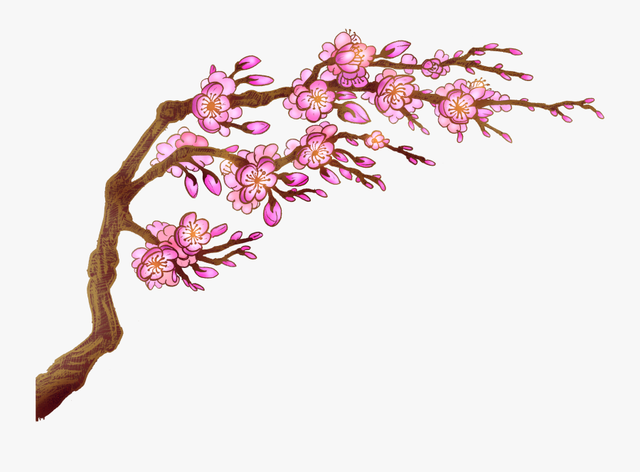 Sakura, Transparent Clipart