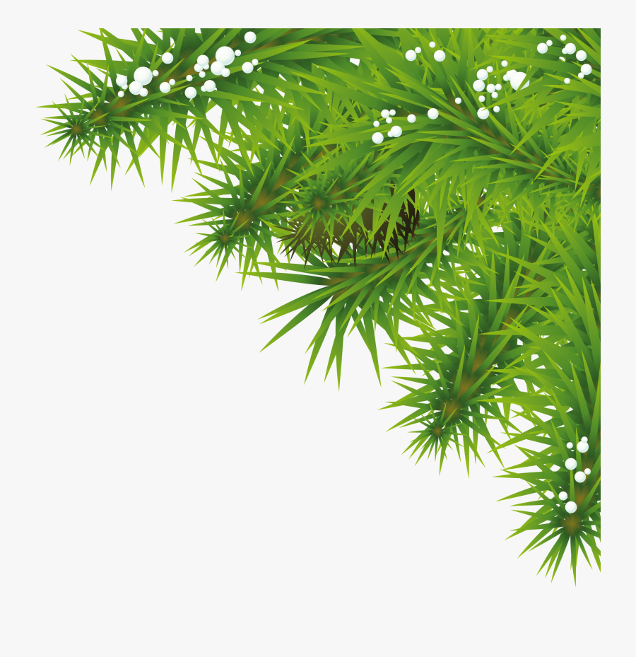 Png , Png, Png - Tree Png Background Hd, Transparent Clipart