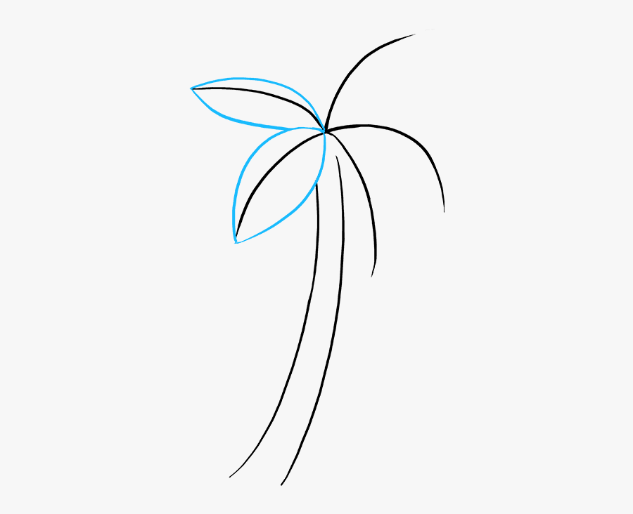 How To Draw Palm Tree, Transparent Clipart