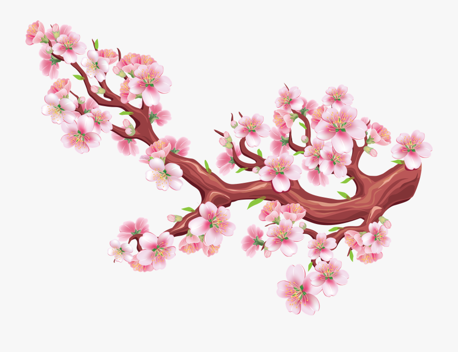 Sakura Png Free Download - Sakura Png, Transparent Clipart