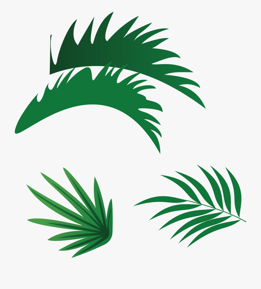 Vector Palm Tree Png - Vektor Daun Png, Transparent Clipart