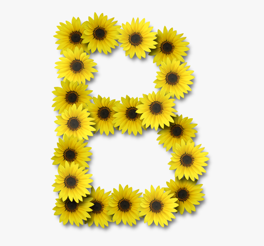 Sunflower Alphabet Png - Letter B Sunflower Png, Transparent Clipart