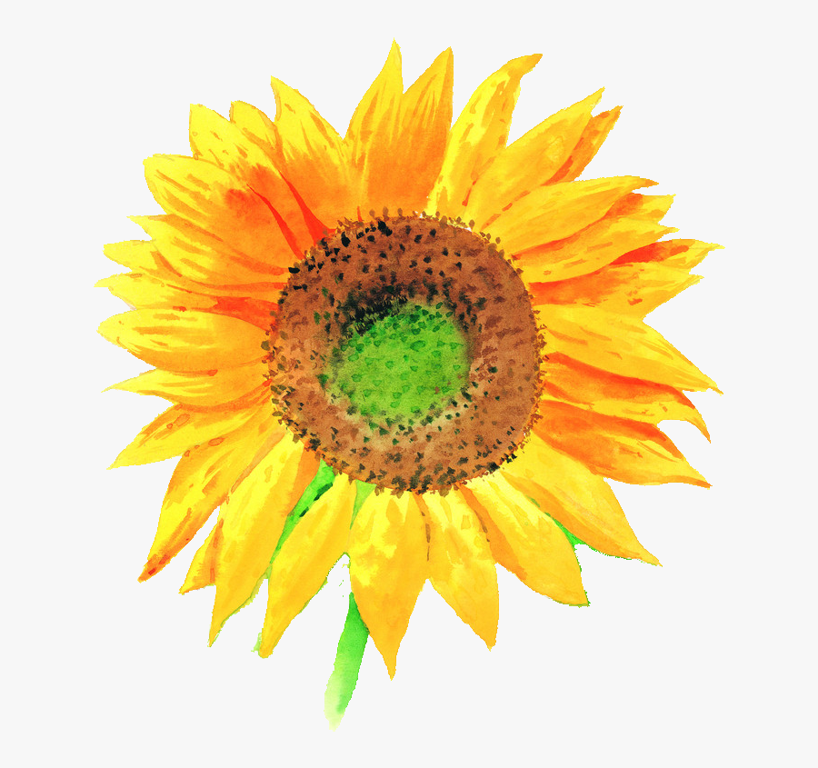 Free Free 52 Watercolor Sunflower Clipart Free SVG PNG EPS DXF File