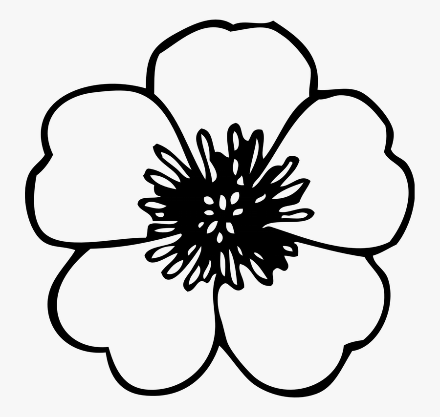 White Clipart Sunflower - Line Drawing Of Flower, Transparent Clipart