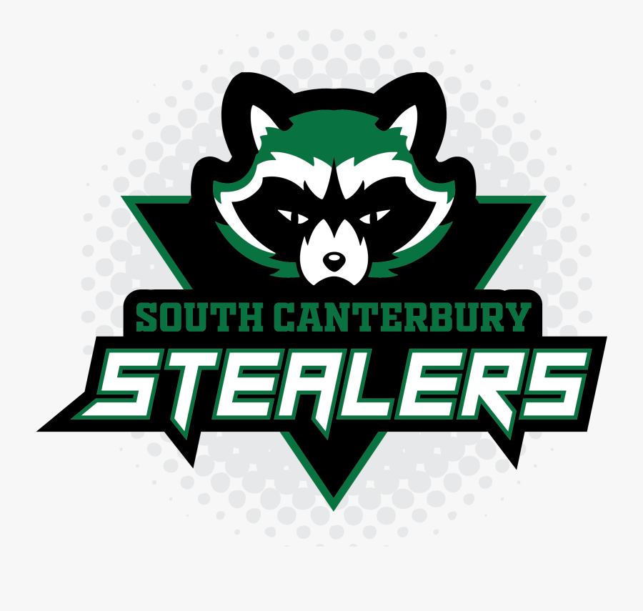 Raccoon, Transparent Clipart