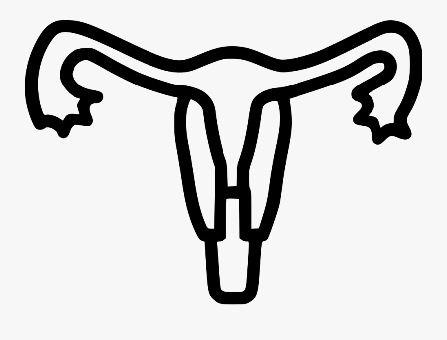Uterus Human Body Part Medical Tube Uterine - Uterus Clipart Transparent Background, Transparent Clipart