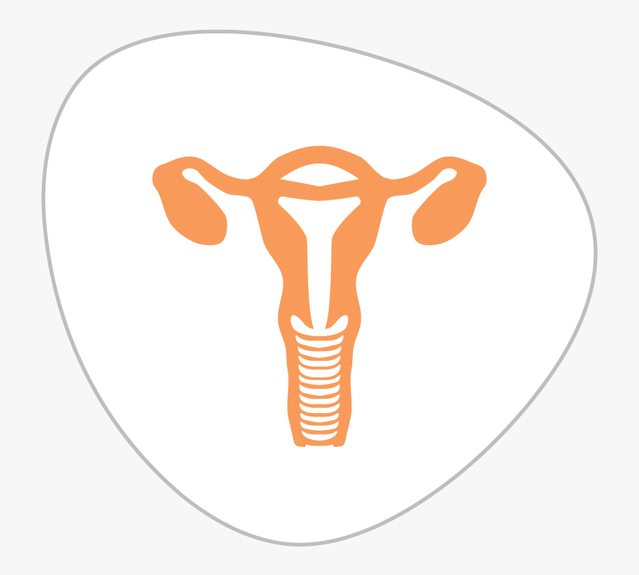 Endometrial & Other Uterine Cancers - Illustration, Transparent Clipart