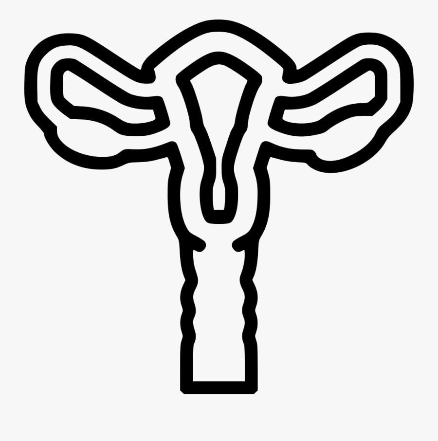 Uterus - Ovary Graphic Transparent Background, Transparent Clipart