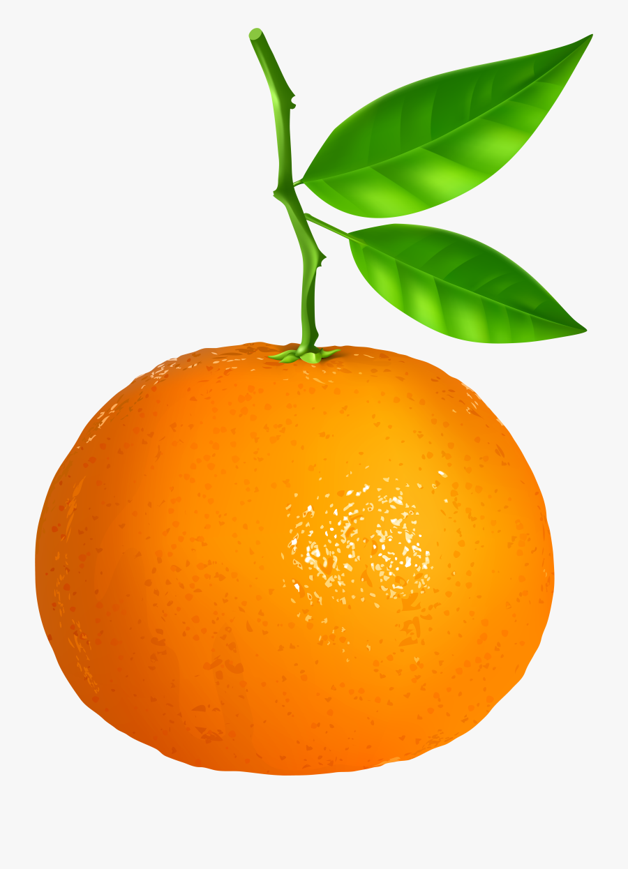 Tangerine Transparent Background, Transparent Clipart