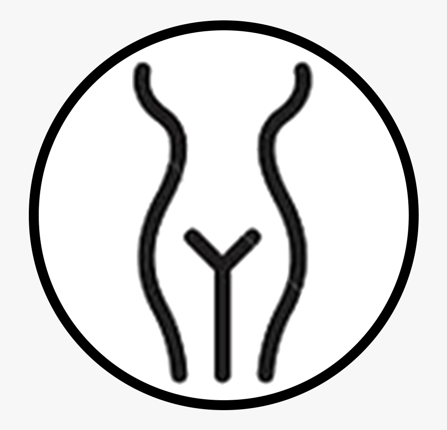 Gynaecology, Transparent Clipart