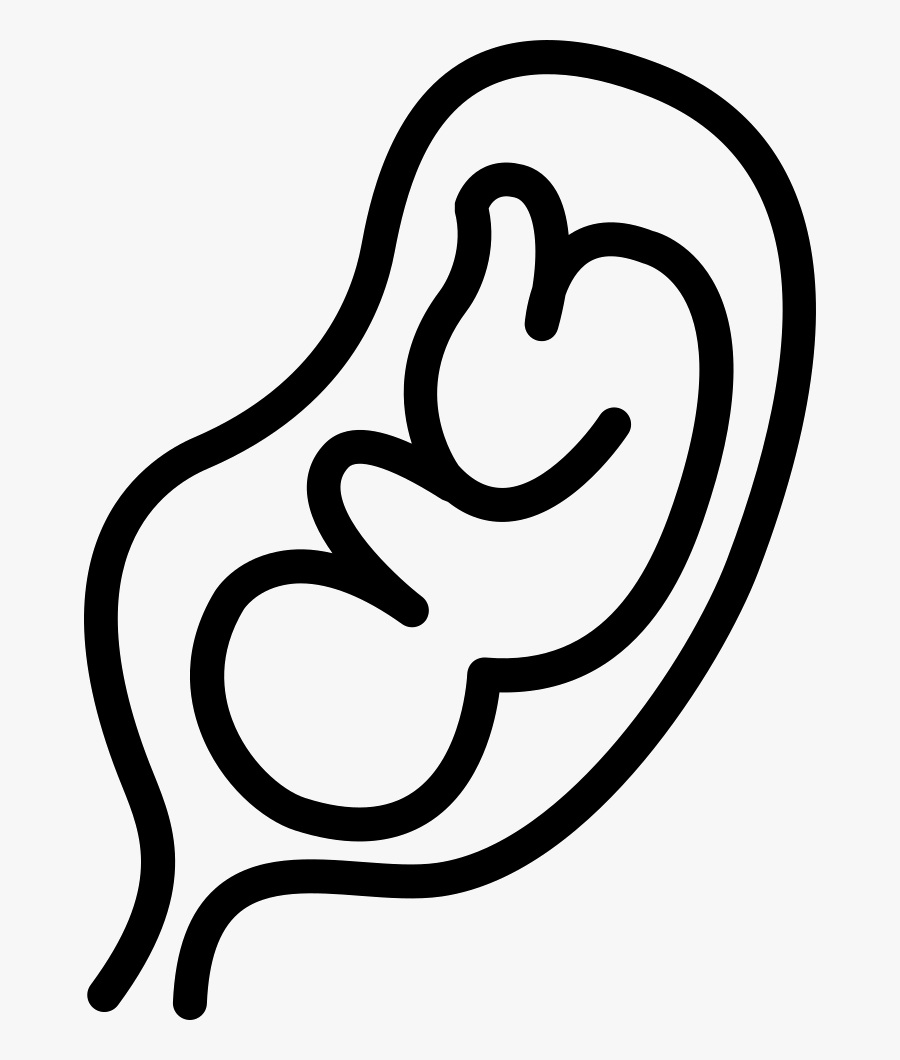 Fetus In An Uterus - Silueta De Un Feto, Transparent Clipart