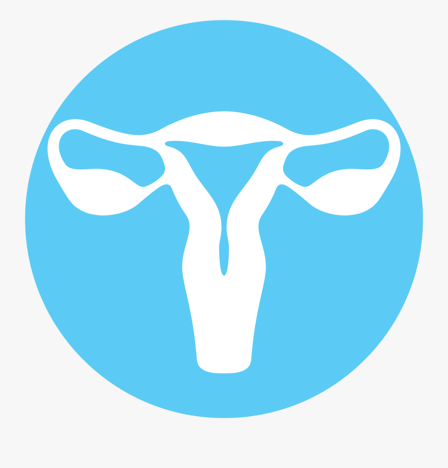 Uterus Clip Art, Transparent Clipart