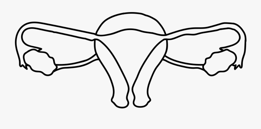 Line Art, Transparent Clipart