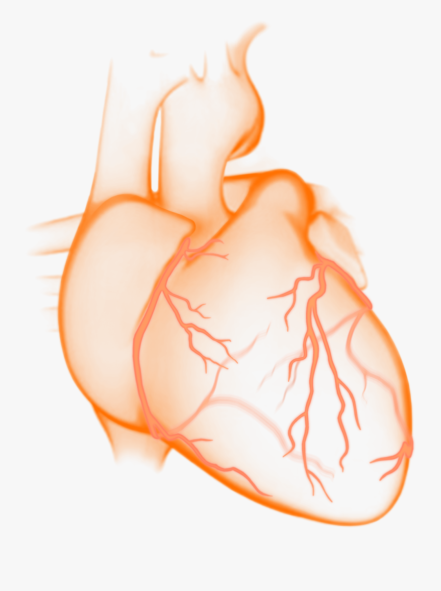 Clip Art, Transparent Clipart