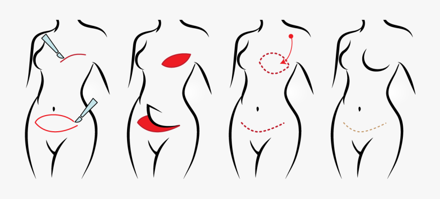 Diep Process, Transparent Clipart