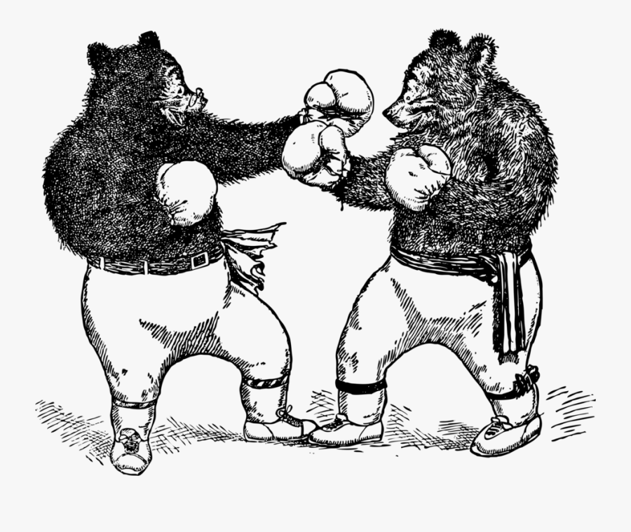 Boxing Bears - Bear With Boxing Gloves, Transparent Clipart