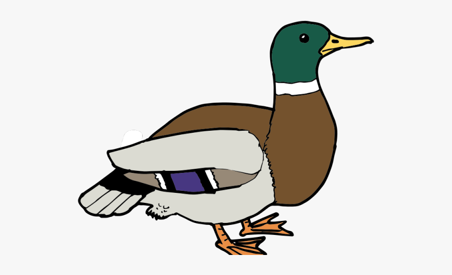 Duck Clipart Family - Duck Clipart Png, Transparent Clipart