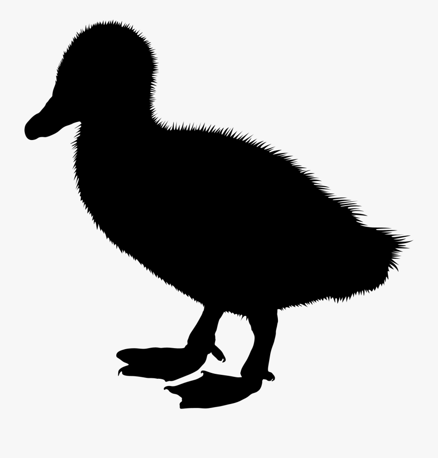 Duck Clip Art Silhouette Illustration Vector Graphics - Duck, Transparent Clipart