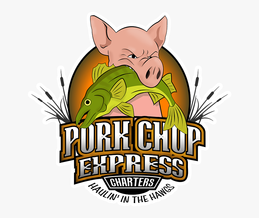 Domestic Pig, Transparent Clipart